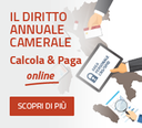 Diritto Annuale - Calcola&Paga