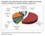 Continua il trend positivo per le imprese gestite da stranieri