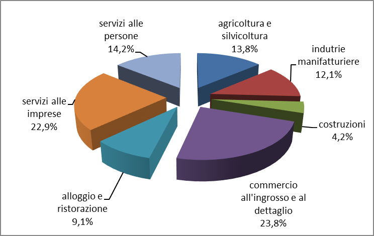 Distribuzione per settori delle imprese attive femminili al 30 giugno 2021.png