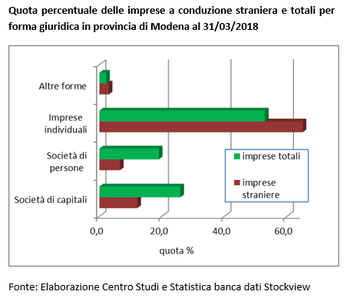 Le imprese a conduzione straniera