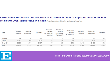 EELLE: pubblicato il capitolo Occupazione