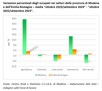 Indagine forze di lavoro: lieve calo dell'occupazione nel terzo trimestre del 2024