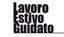 Lavoro Estivo Guidato 2014