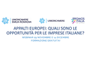 Appalti europei: quali opportunità per le imprese? Appalti europei: quali opportunità per le imprese?