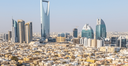 Arabia Saudita: multisettoriale