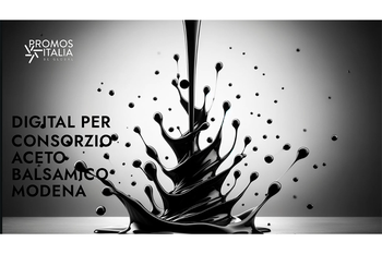 Promos Italia propone servizi dedicati alle imprese del Consorzio Tutela Aceto Balsamico di Modena per promuovere la propria presenza all'estero attraverso canali digitali