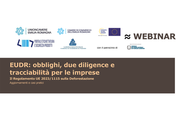 Regolamento sulla Deforestazione
