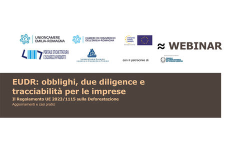 Regolamento sulla Deforestazione